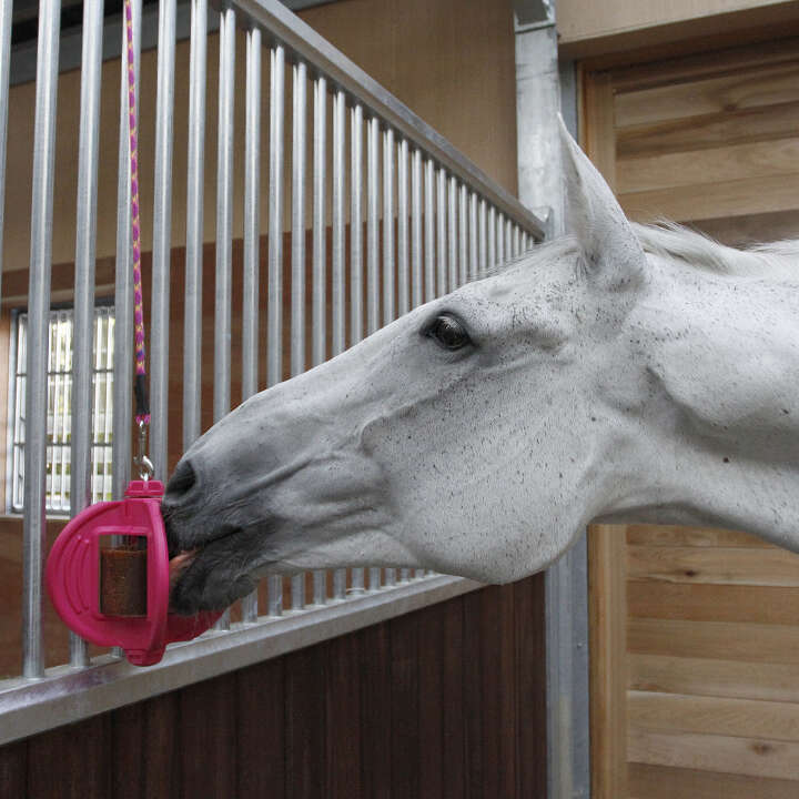 BIZZY Bizzy HORSE Ball